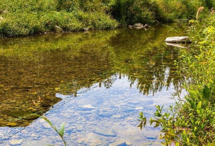 Gangchon Pine Hill Pension