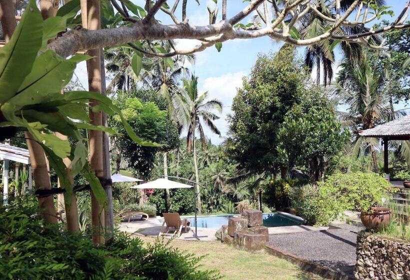 호텔 Aventus Resort Ubud