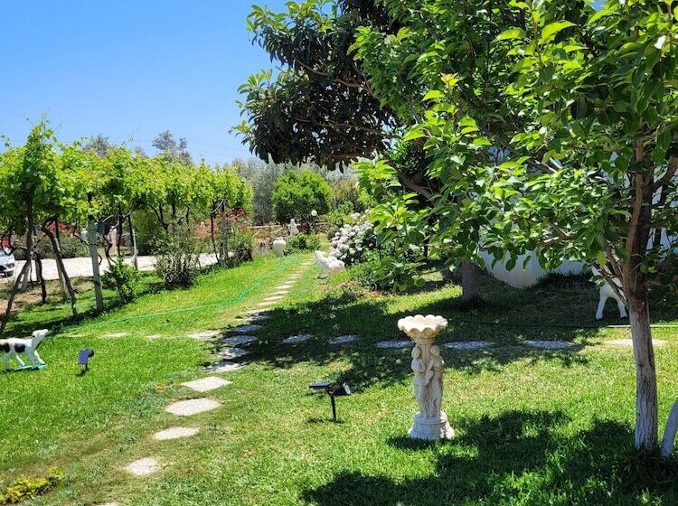 Отель Grape Datça