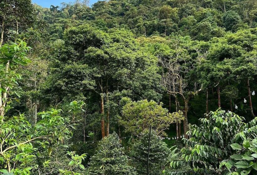 فندق La Palma Y El Tucan   Coffee & Nature