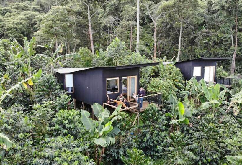فندق La Palma Y El Tucan   Coffee & Nature