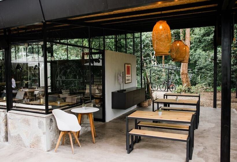 فندق La Palma Y El Tucan   Coffee & Nature