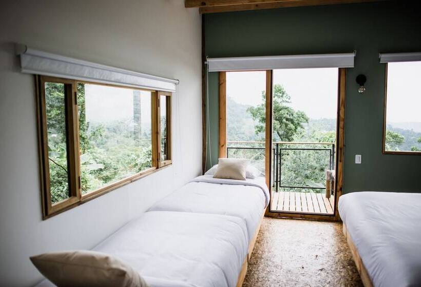 فندق La Palma Y El Tucan   Coffee & Nature