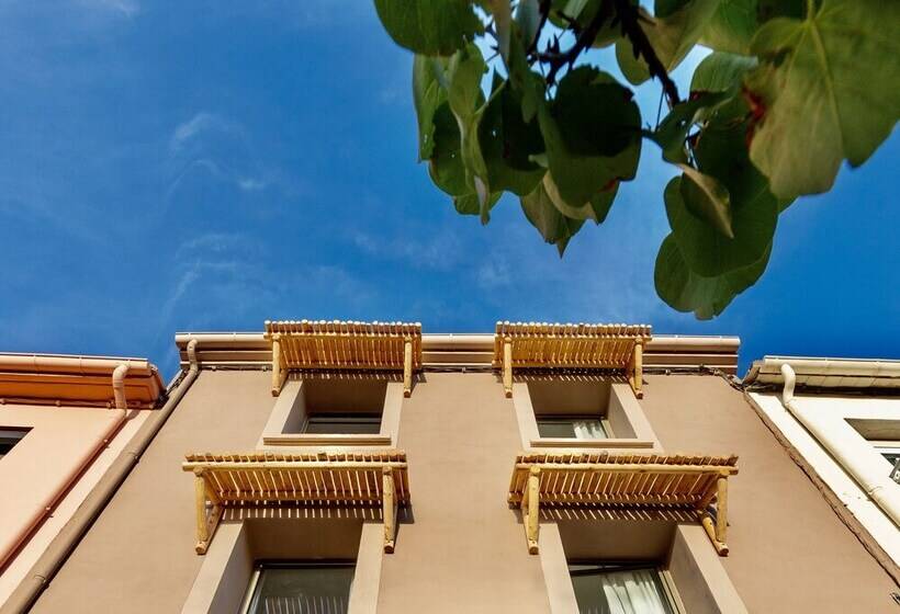 پانسیون Maison Le S