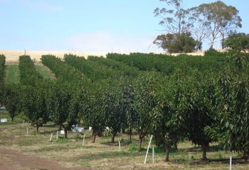 צימר Somercotes