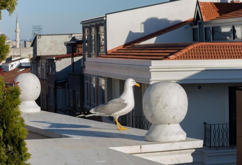 Fotos del hotel Bizim:  13