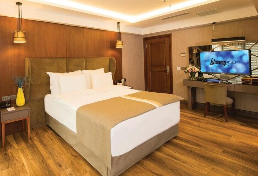 Fotos del hotel Blueway  Historical:  16