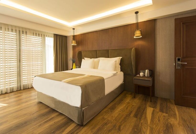 Fotos del hotel Blueway  Historical:  3