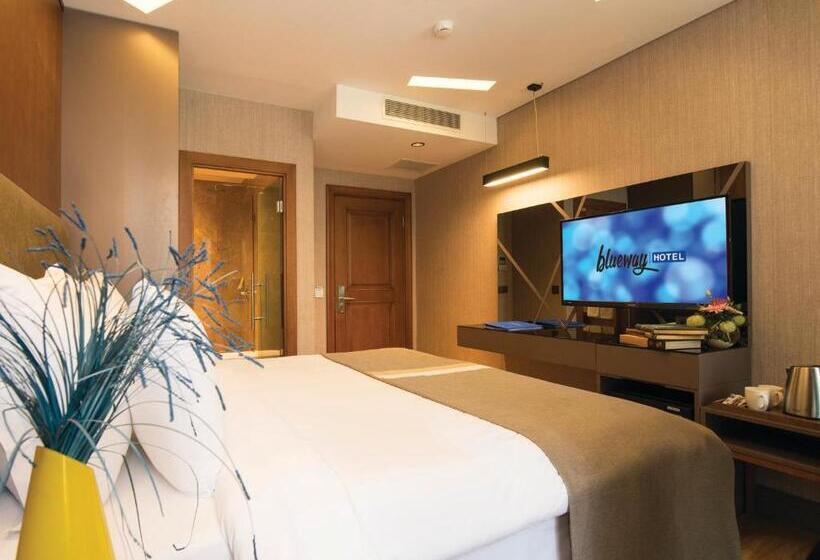 Fotos del hotel Blueway  Historical:  7