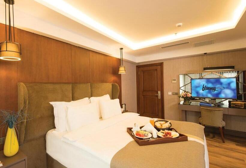 Fotos del hotel Blueway  Historical:  18