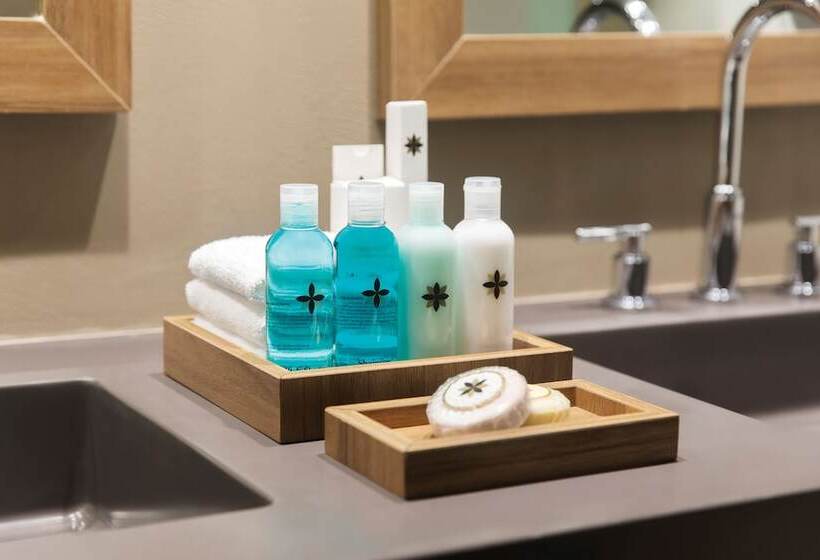 ホテル Excellence El Carmen  Adults Only  All Inclusive