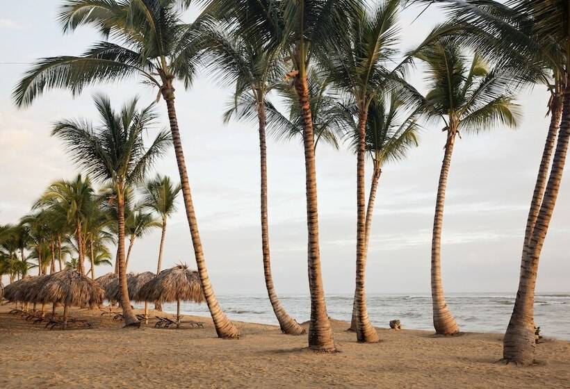 Fotos del hotel Excellence El Carmen  Adults Only All Inclusive:  37