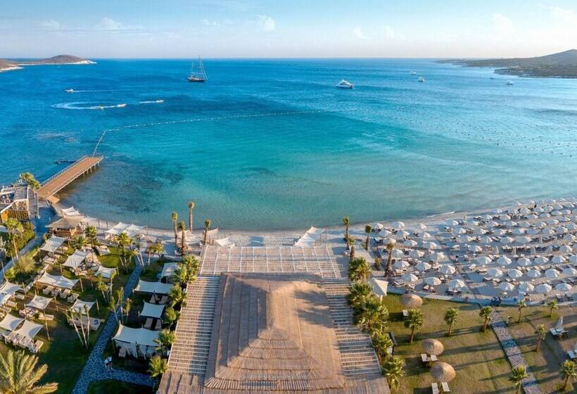 هتل Alaçatı Beach Resort