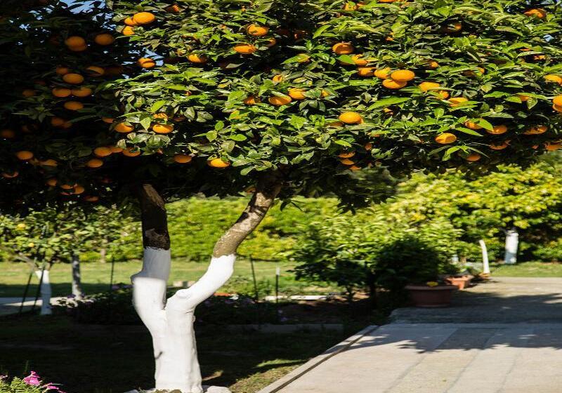 هتل Paradise Village