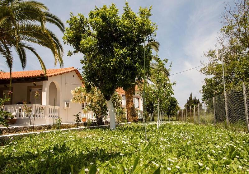 هتل Paradise Village