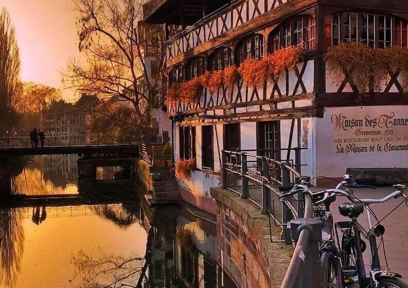 Fotos del hotel Pavillon Regent Petite France:  15