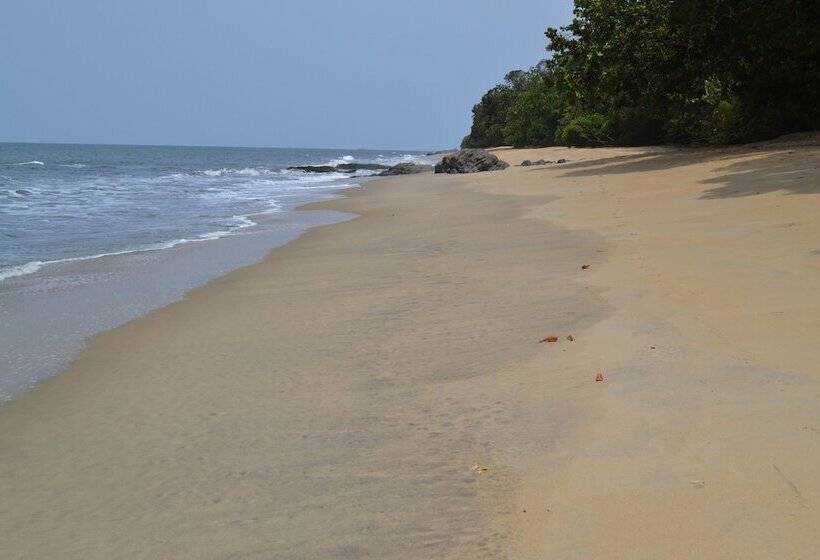 هتل Tara Plage