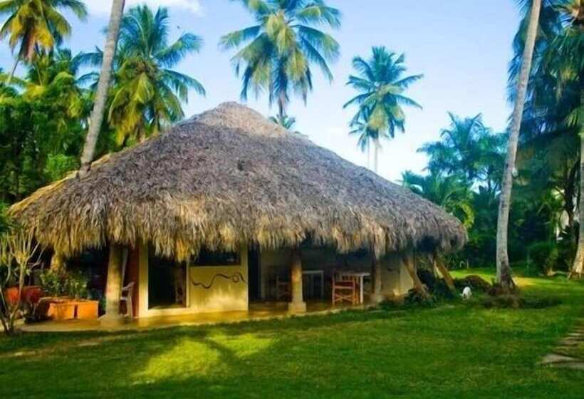 Oasis Hotel Las Terrenas