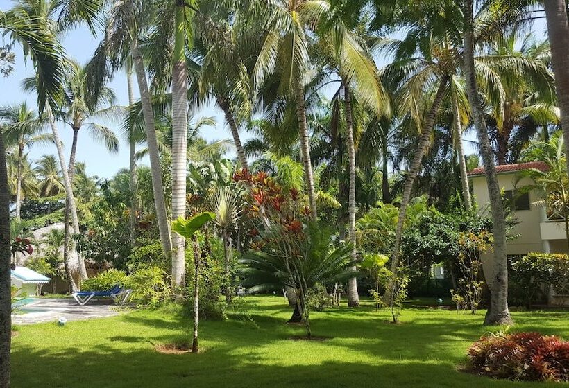 Oasis Hotel Las Terrenas