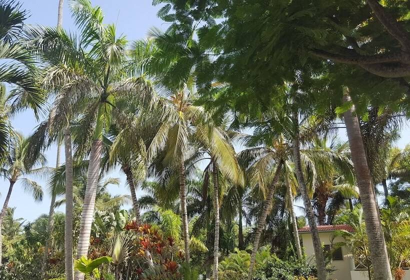 Oasis Hotel Las Terrenas