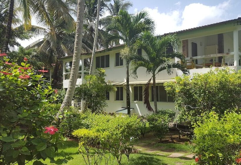 Oasis Hotel Las Terrenas