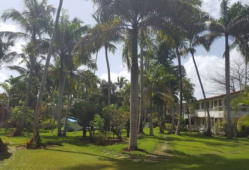 Oasis Hotel Las Terrenas
