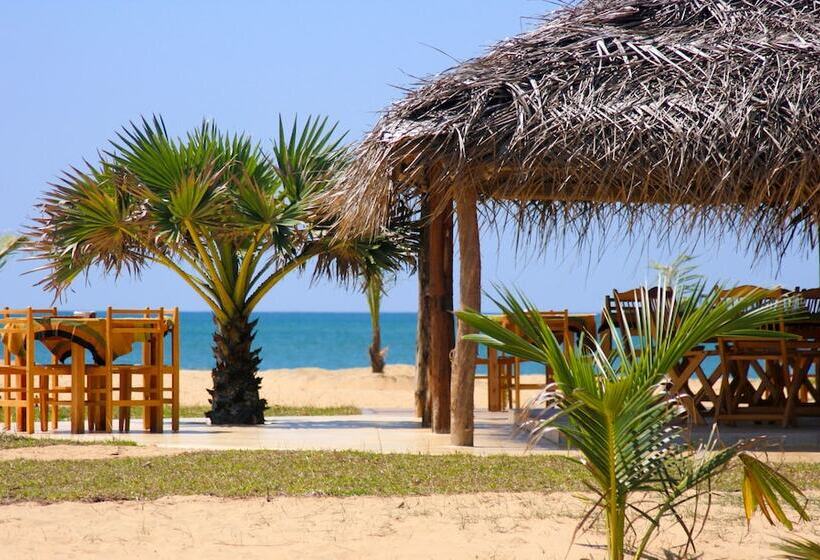리조트 Palagama Beach
