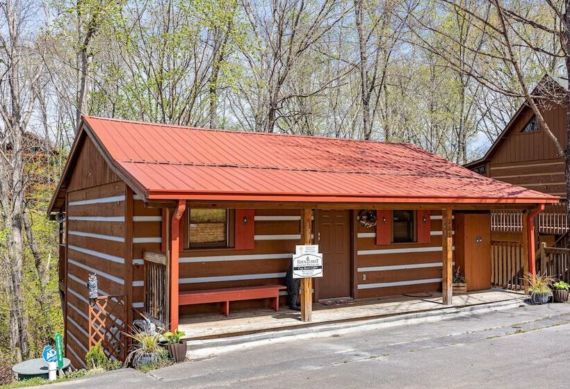 Cozy Bears Cabin