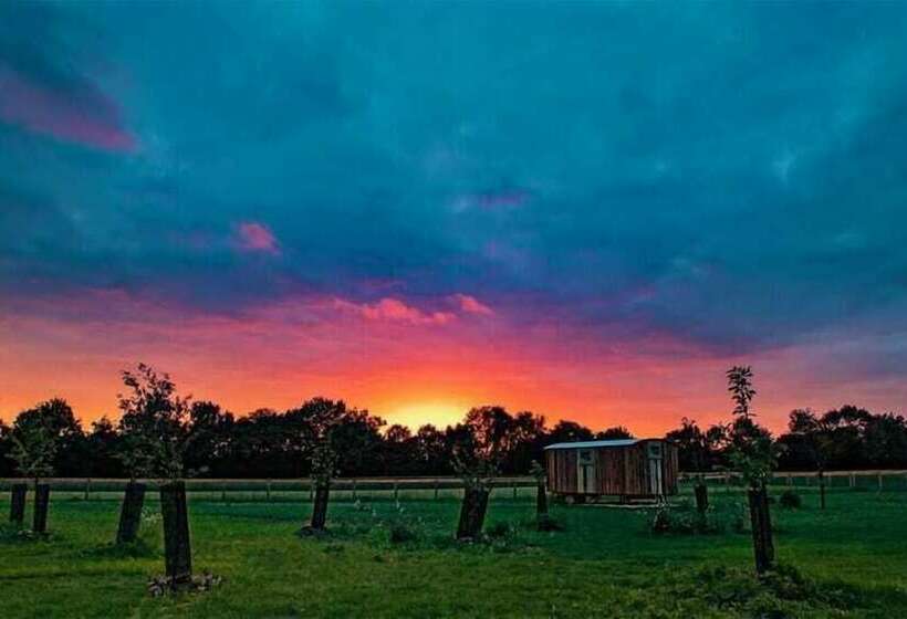 Honeysuckle Farm Hut 4   Suffolk Farm Holidays