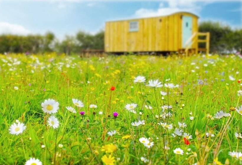 בית מלון כפרי Honeysuckle Farm Hut 3   Suffolk Farm Holidays
