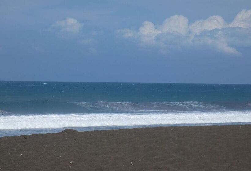 هتل Las Olas