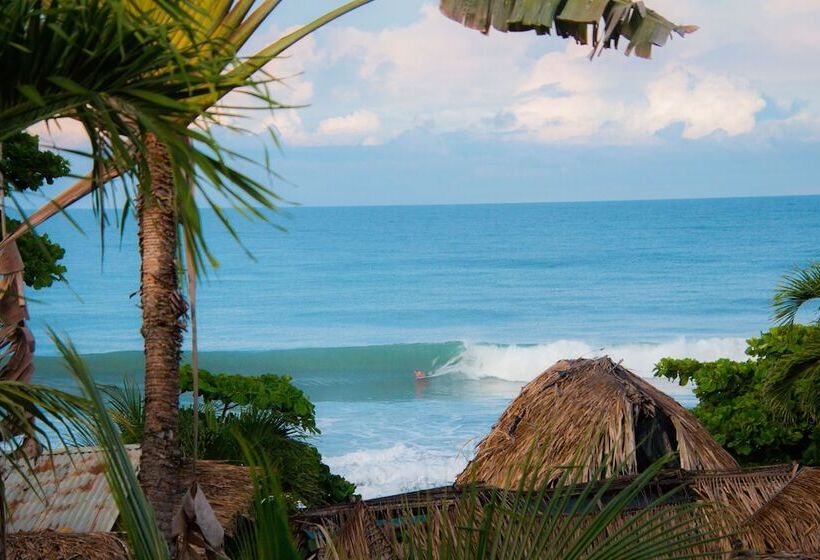 هتل Las Olas