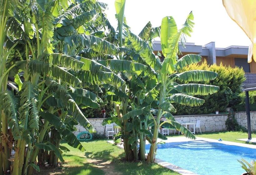هتل Odabasi Su Alacati