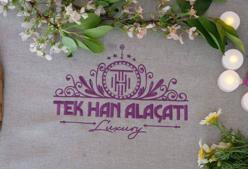هتل Tek Han Luxury