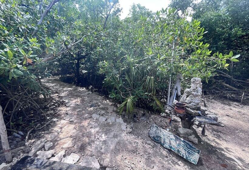 ホテル Yaxchen Tulum Cabanas & Cenote