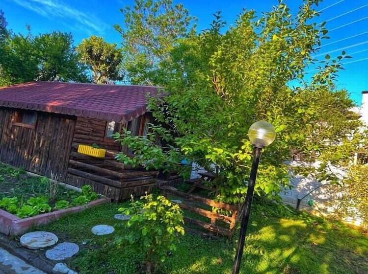 هتل Zeytindagi Bungalow