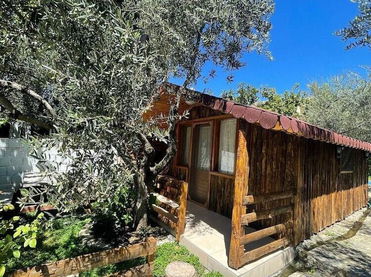 هتل Zeytindagi Bungalow