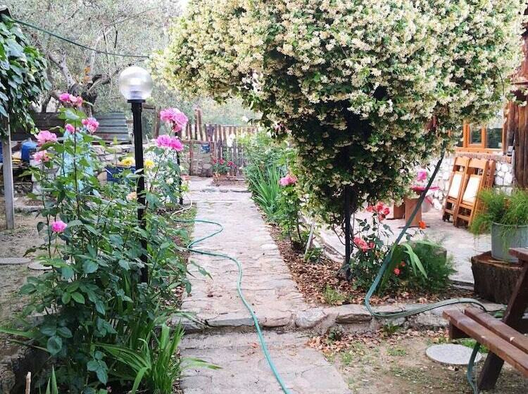 هتل Zeytindagi Bungalow