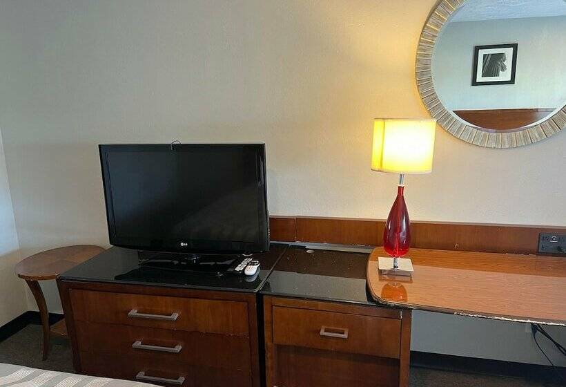 汽车旅馆  Maple Tree Inn