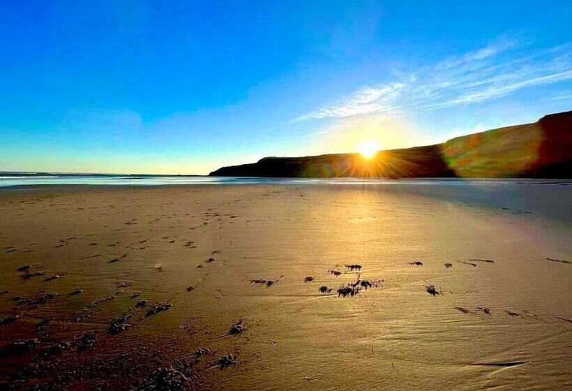 The Cove