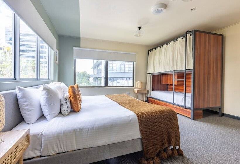 هاستل Roamer Brisbane