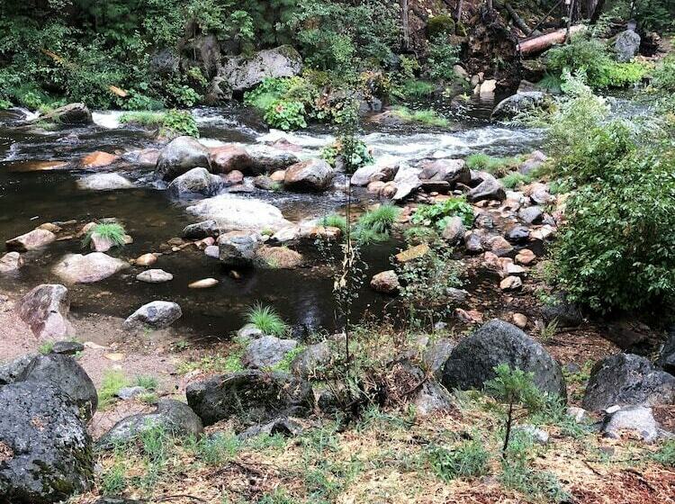 모텔 Sierra Inn On The River