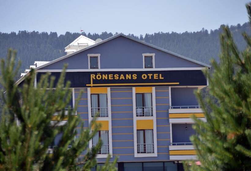 Ronesans