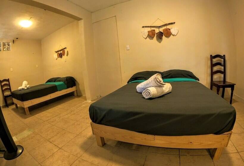 هتل Bacalar 3.30