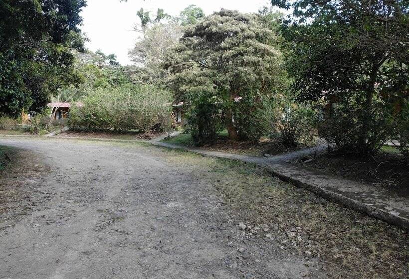هتل El Bosque Lodging
