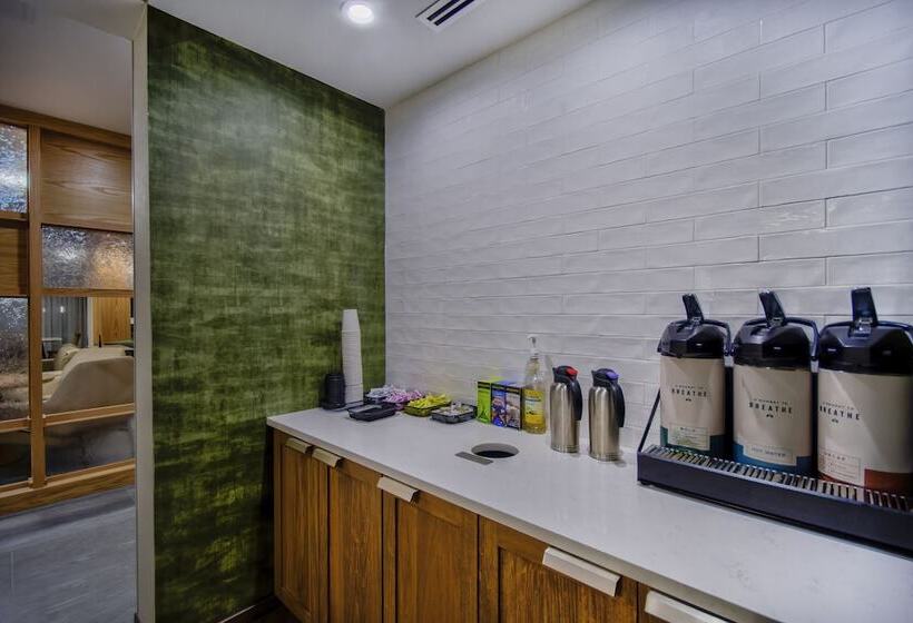 Отель Fairfield By Marriott Inn & Suites Rochester Hills