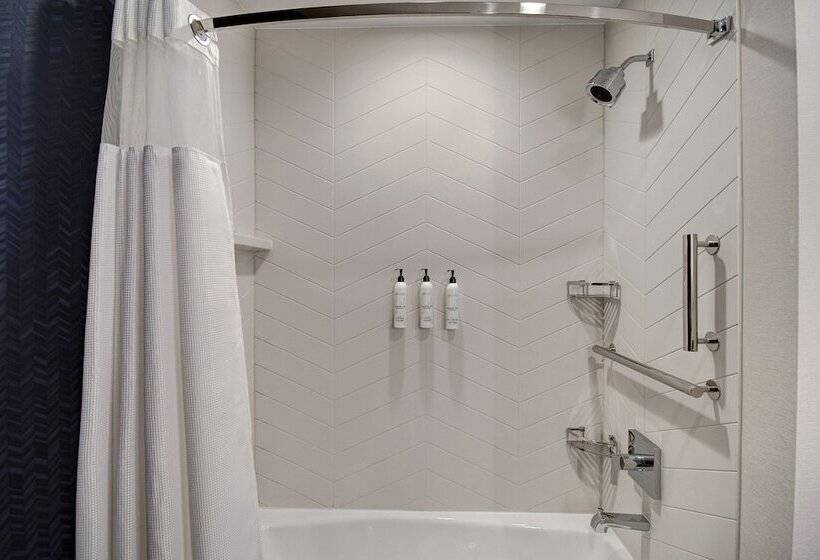 Отель Fairfield By Marriott Inn & Suites Rochester Hills