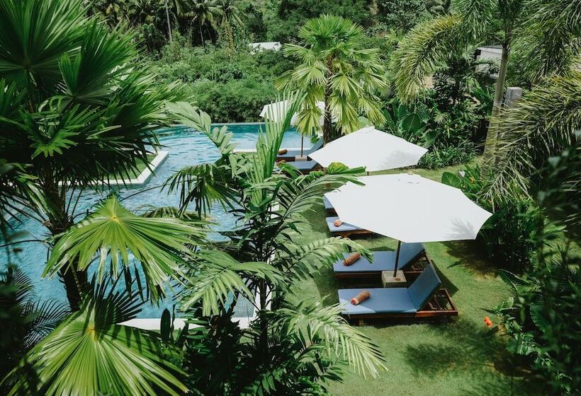 Porter Hotel   Surf & Yoga Retreat