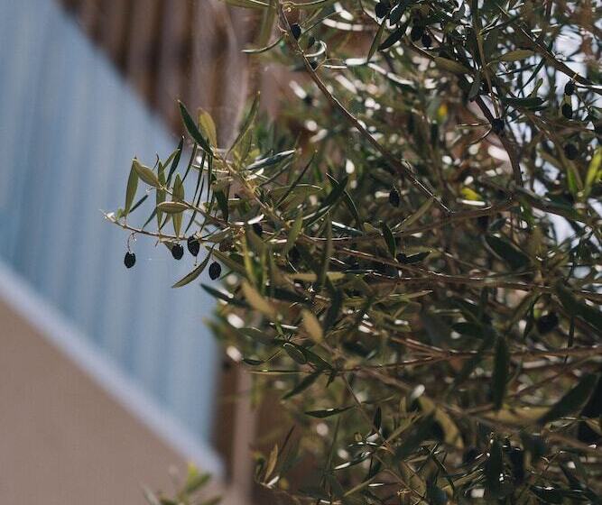 هتل The Nest Resort