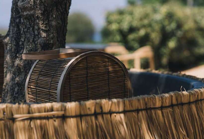هتل The Nest Resort